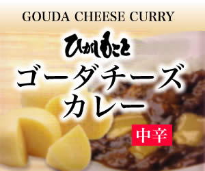 ゴーダチーズカレー中辛